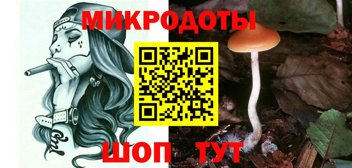Галлюциногенные грибы Magic Shrooms  Вход с VPN  Карачаевск 