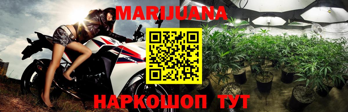 МАРИХУАНА тримм Карачаевск